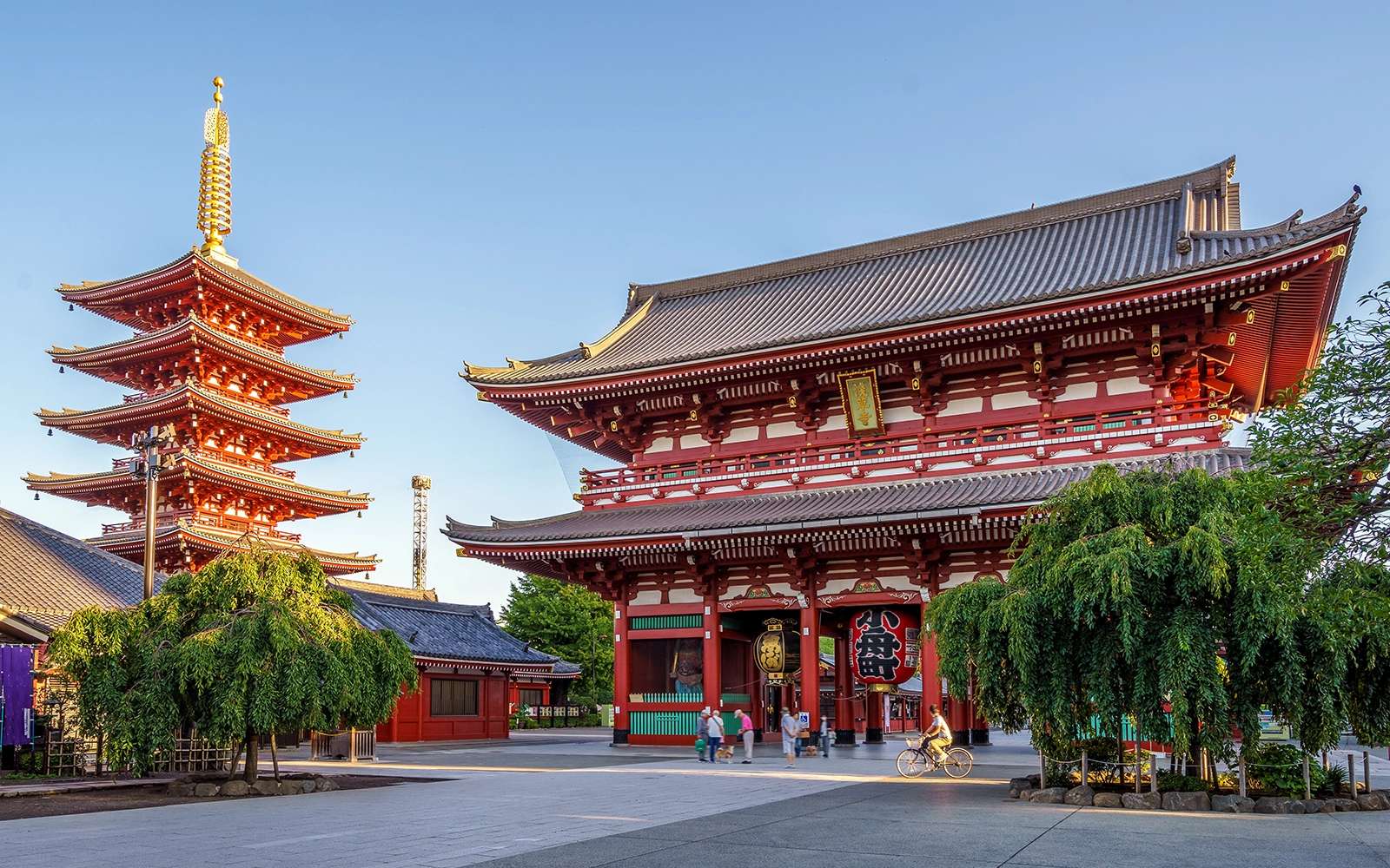 Japan and South Korea