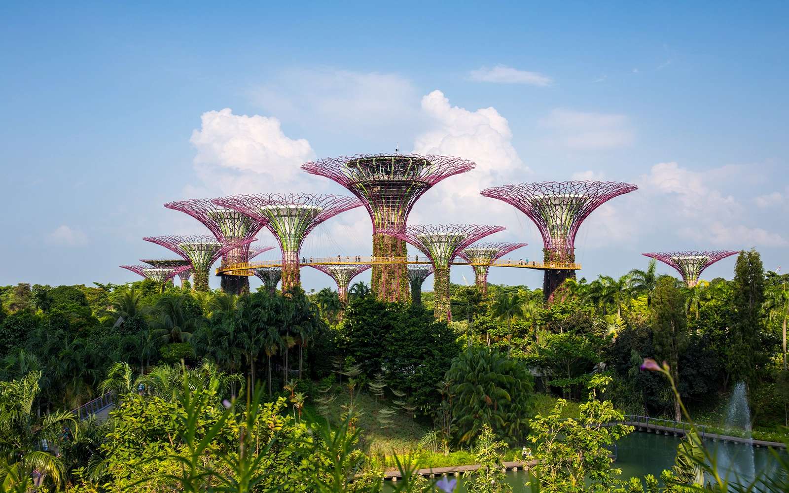 Borneo