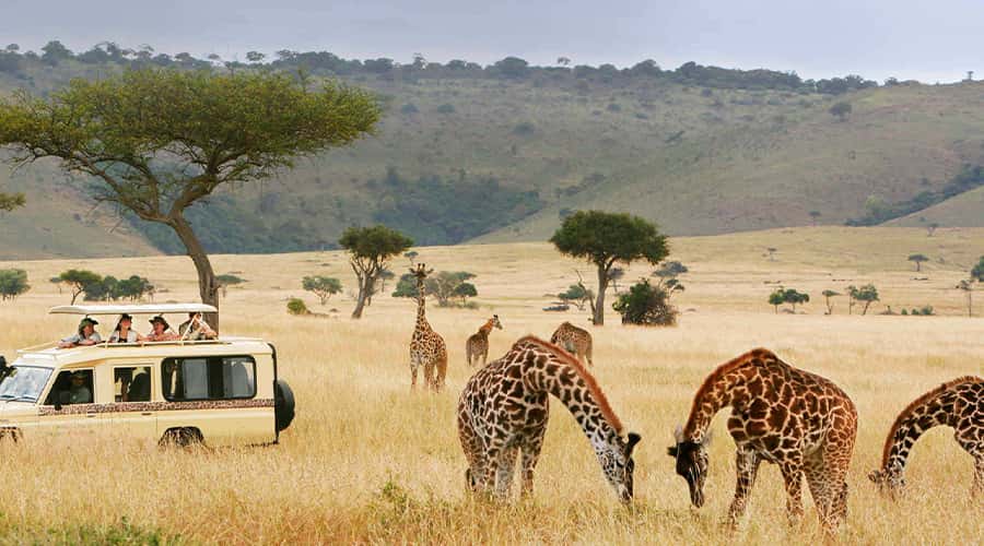 Africa Five Cities In One Go