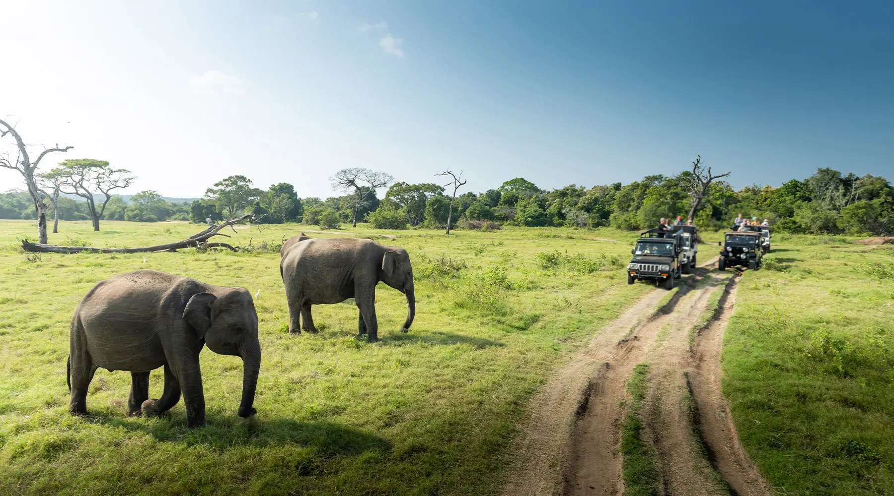 Sri Lanka