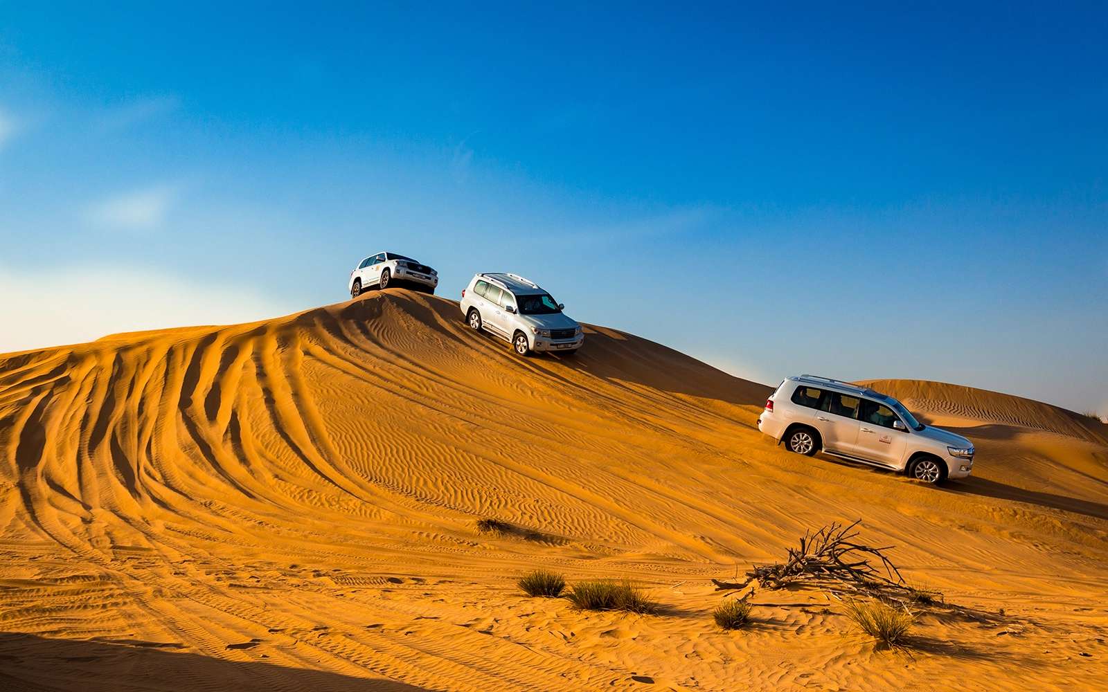 Luxury Dubai Inclusive