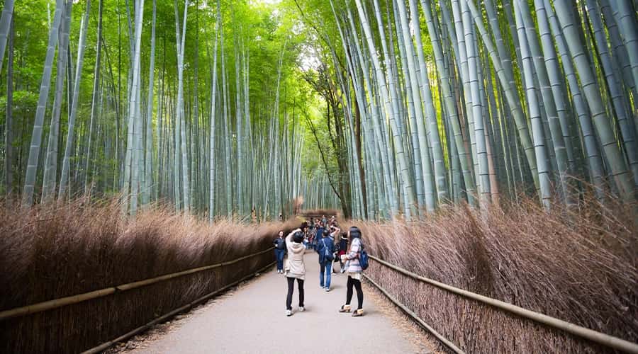 Japan Taiwan and South Korea