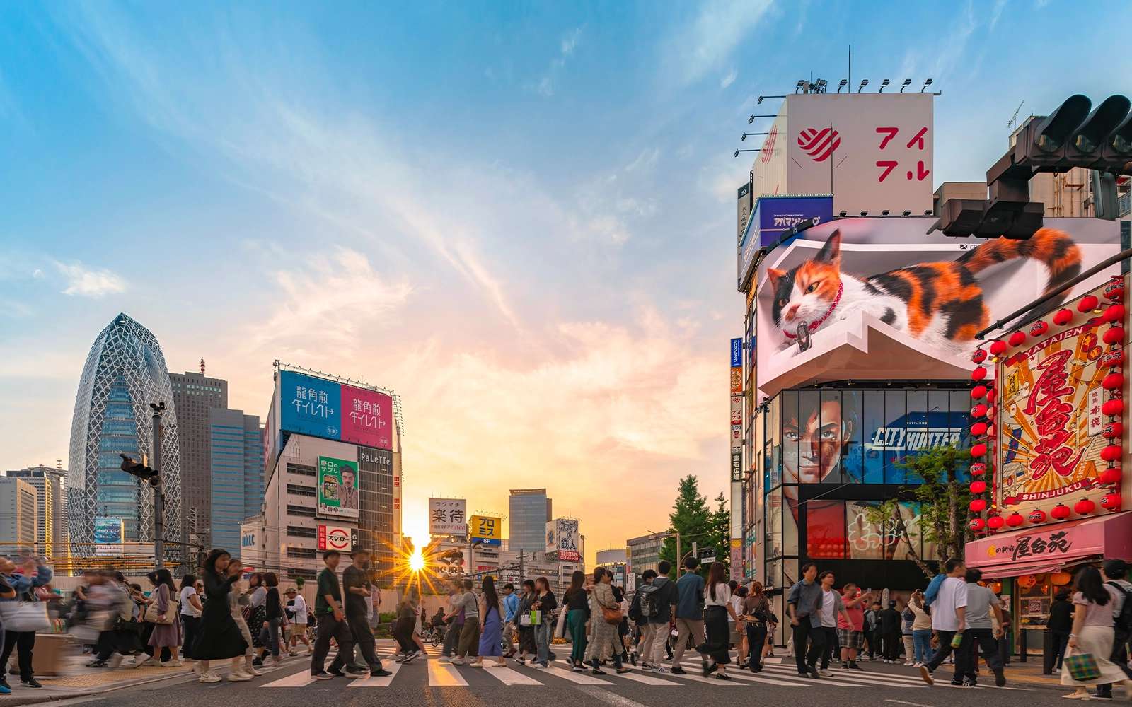 Japan and South Korea