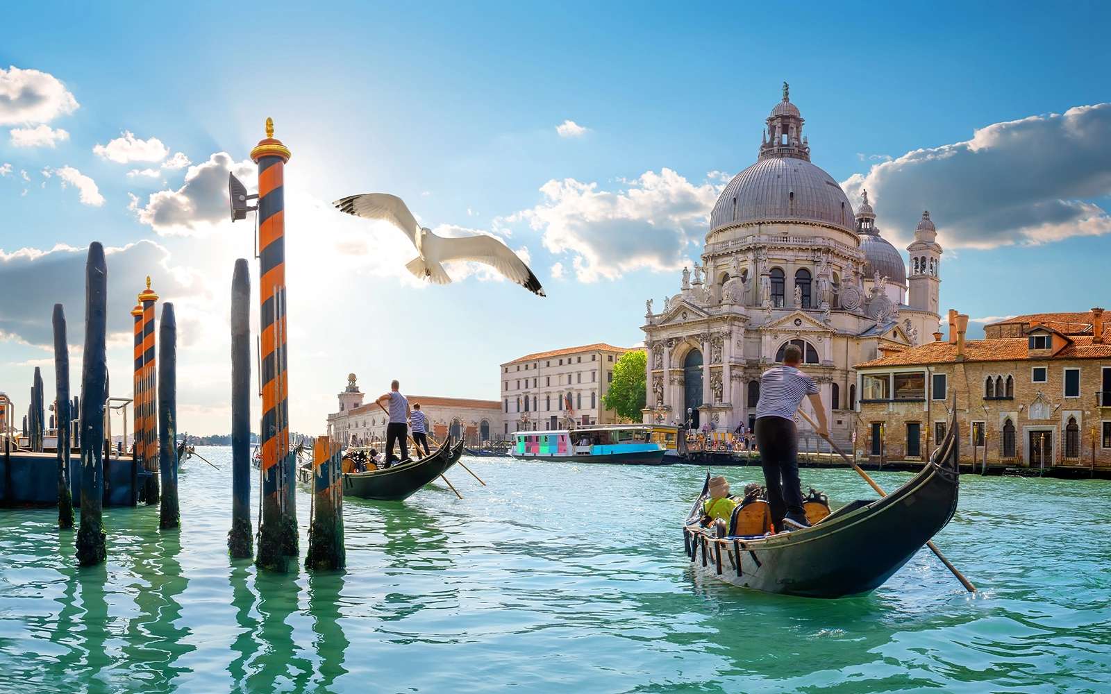Venice