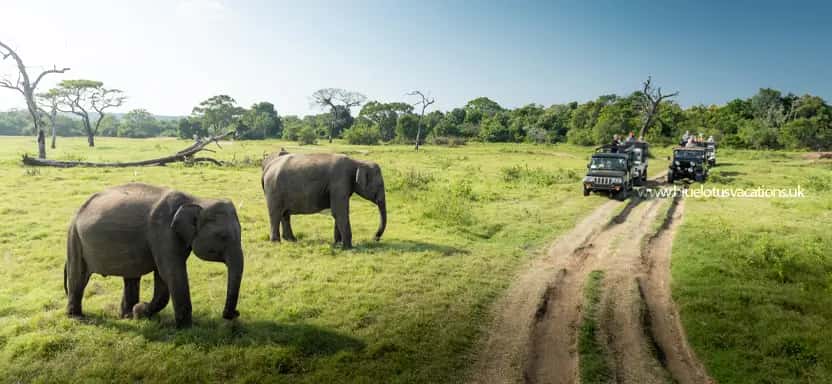 Sri Lanka