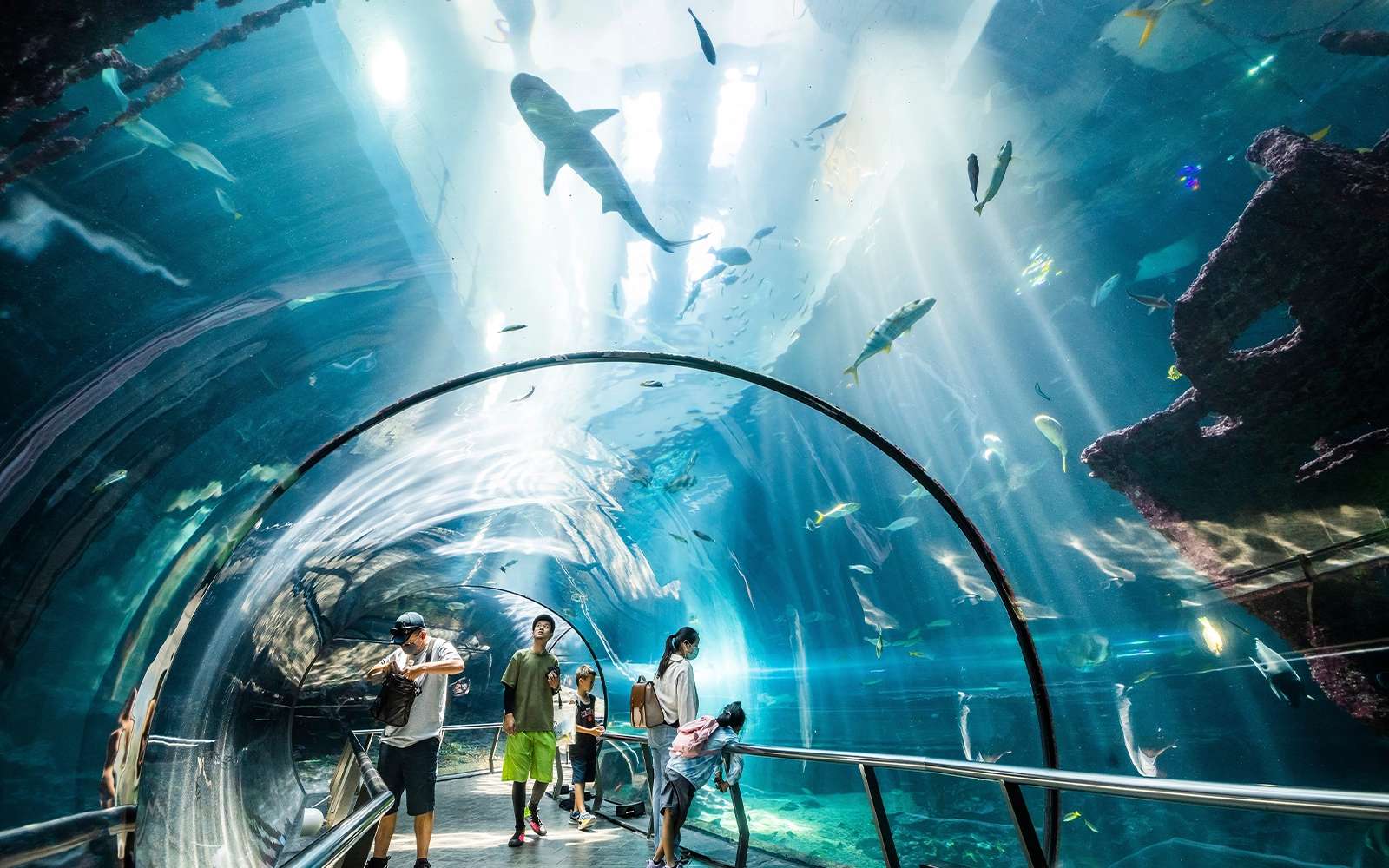 Luxury Dubai Inclusive