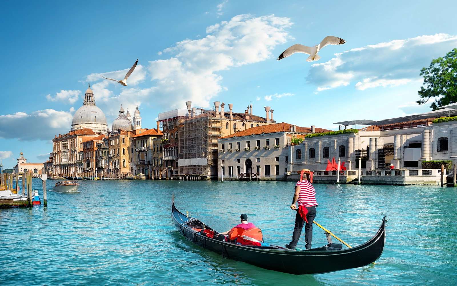 Rome and Venice