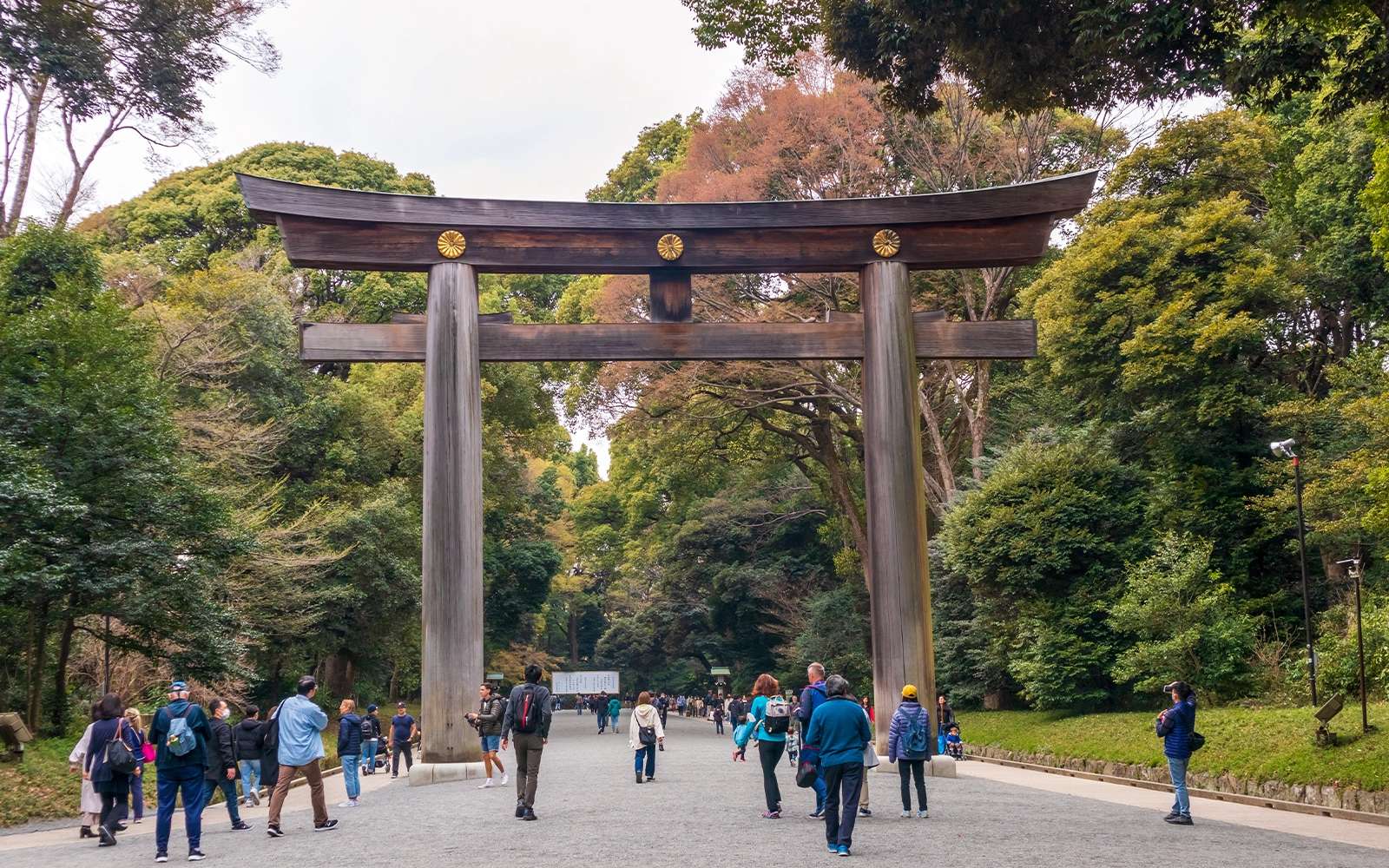 Japan and South Korea