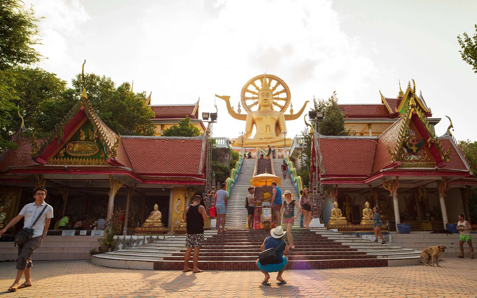 Thailand 4 in 1