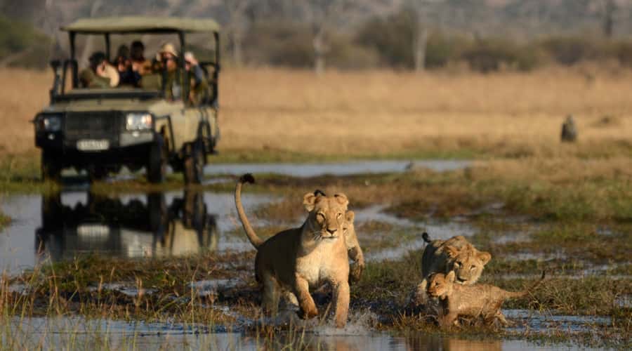 Africa Five Cities In One Go