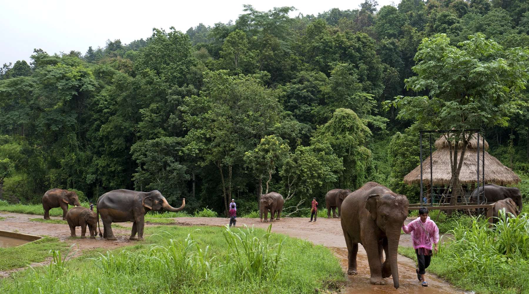 Thailand with Elephant hills