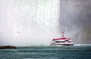 Whale Watching